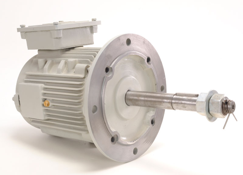 Cooling tower motor