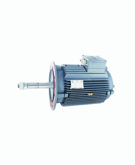 Cooling Tower Motor - Corrosion-Resistant Front View